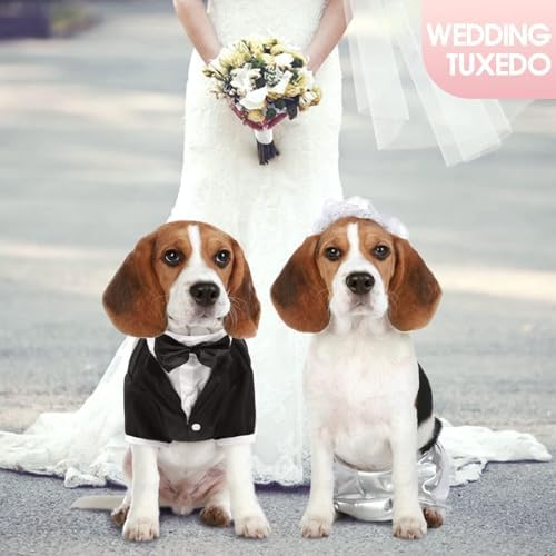 Kuoser Dog Tuxedo, Formal Dog Costume with Bow Tie Pet Wedding Suit Party Birthday Outfit, Dogs Tux Soft Shirt for Valentines Christmas Halloween Graduation Cosplay, Black S - Image 5