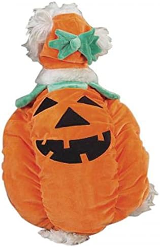 Zack & Zoey Pumpkin Pooch Costume, Medium Orange by OOMCOMMERCE