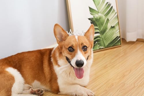Lovelyshop Pet Series Silver Plated Royal Rhinestone Pearl Full Round Dog/Cat Crown for Rolyal Family Costume Hair Accessories-Medium Size - Image 4