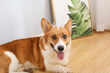 Lovelyshop Pet Series Silver Plated Royal Rhinestone Pearl Full Round Dog/Cat Crown for Rolyal Family Costume Hair Accessories-Medium Size - Image 4