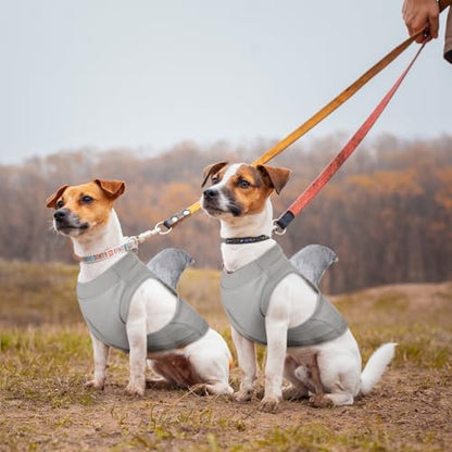 2 Pcs Halloween Dog Shark Costumes Fish Fin Dogs Costume, Medium - Image 4