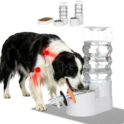 RIZZARI 9L Elevated Dog Water Dispenser: Large Capacity Wide Mouth
