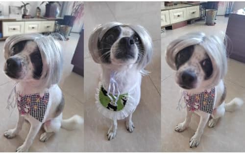 Straight Sliver Dog Wigs for Large Dogs Wigs for Dog Wig Pet Costume - Image 4