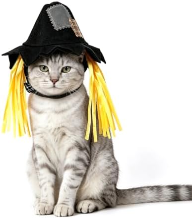 NAMSAN Pet Scarecrow Costume for Cats Small Dogs Rabbits, Halloween Cat Hat with Wig, Small Dog Scarecrow Hat, Halloween Cat Wig Straw Outfit for Holiday Party Cosplay Statue Decoration by Namsan
