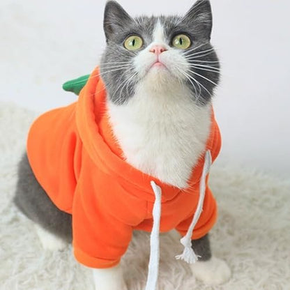 Happy Dog Hoodies - Funny Puppy Clothes for Small Dogs & Cats - Hooded Sweatshirt Coat - Winter & Easter Outfit - Carrot Costume for Chihuahua, Pomeranian, Yorkie (Orange, Small) - Image 3