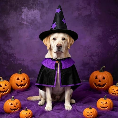 Pet Witch Costume, Purple Witch Cloak for Dogs & Cats, Adjustable Halloween Cape for Small & Large Pets, Spooky Party Dress-Up for Golden Retriever, Labrador, Cat, Husky & More - Image 5