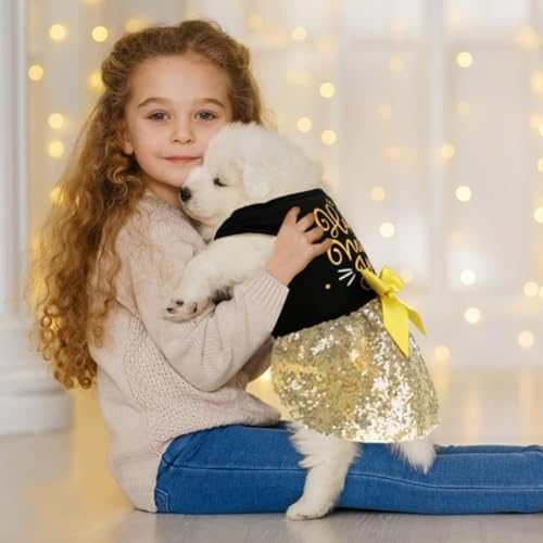Dog Happy New Year Outfit Dog Dress New Years Pet Costumes for Dogs Funny Puppy Dress with Bow for Small Medium Dogs Girls Cats - Image 3
