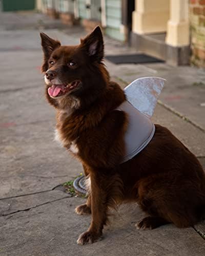 Pet Krewe Small Dog Shark Costume | Pet Costume for Dogs 1st Birthday, National Cat Day & Celebrations | Halloween Outfit for Small and Large Cats & Dogs - Image 3