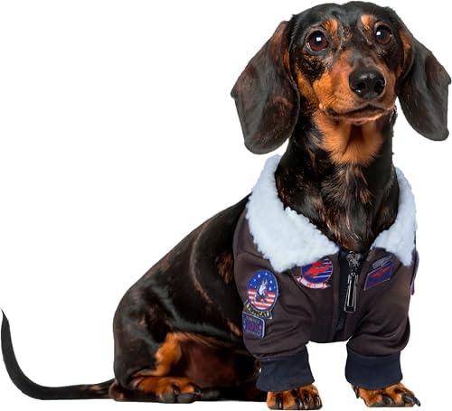 Rubies Top Gun: Maverick Pet Costume for for Dogs or Cats, Large by Rubies