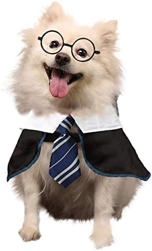 Dog Halloween Costume Pet Wizard Shirt Funny Cat Clothes for Dogs Cats Clothing with Glasses (Small,Blue) by COOMOUR