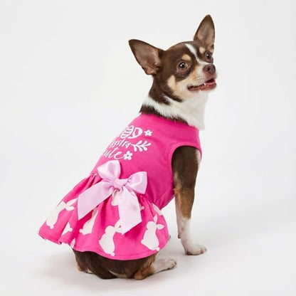 Fitwarm Eggstra Cute Dog Easter Outfit, Bunny Dog Dress, Holiday Dog Clothes for Small Dogs Gril, Pet Cat Clothing, Hot Pink, XS - Image 4