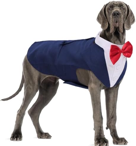 Dog Tuxedo for Large Dogs, Dog Suit and Bandana Set, Dog Costume Outfit by DoraBridal
