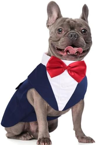 Dog Tuxedo for Medium Dogs, Dog Suit and Bandana Set, Dog Costume Outfit by DoraBridal