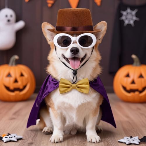 Reginary 3 Pcs Halloween Pet Costume Dog Brown Top Hat Glasses Bow Tie Set - Image 4