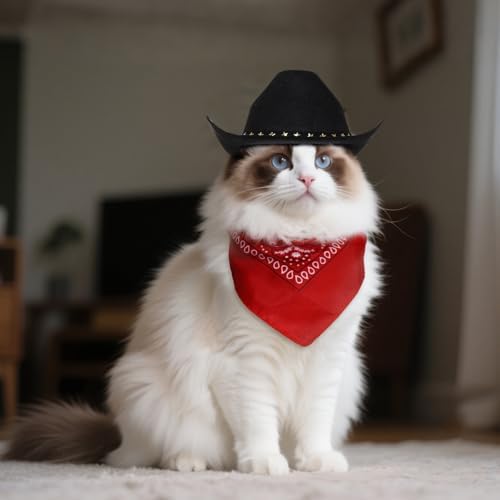 choyaxo Halloween Costumes for Dogs Cat Pet Cowboy Costume Cowboy Hat with Bandana Set for Halloween, Christmas, Holiday, Party, Cosplay (Black, Large) - Image 4