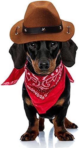 Yewong Pet Cowboy Costume Accessories - Dog Cat Pet Size Cowboy Hat and Bandana Scarf West Accessories for Puppy Kitten Party Festival and Daily Wearing Set of 2 (Coffee) - Image 6