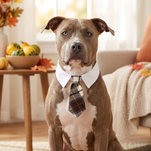 ADOGGYGO Fall Dog Necktie, Brown Plaid Thanksgiving Dog Tie Collar, Medium - Image 3