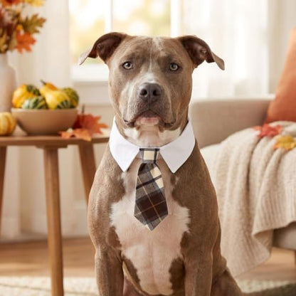 ADOGGYGO Fall Dog Necktie, Brown Plaid Thanksgiving Dog Tie Collar, Medium - Image 3