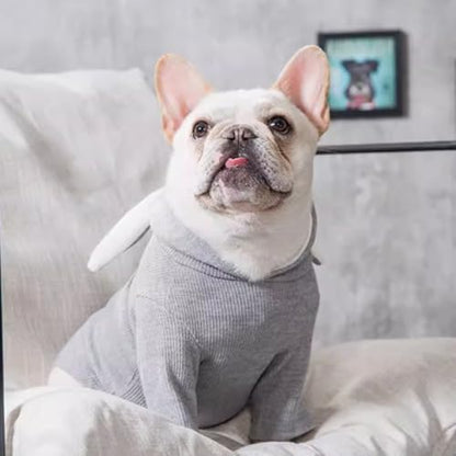 ANIAC Pet Hoodie Cat Rabbit Outfit with Bunny Ears Cute Sweatshirt Spring and Autumn Puppy Knitted Sweater Kitty Soft Knitwear (XXL-Large, Grey) - Image 3