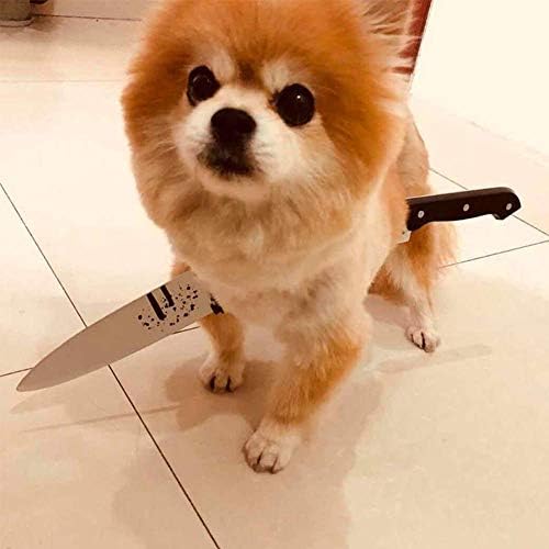 SEIS Halloween Funny Pet Headband Dog Hat Horrible Costume Toys Props Horror Decorations (Sharp Knife) by SEISPetSupplies