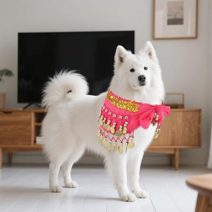 Dog Belly Dancer Skirt, Bling Belly Dance Hip Scarf for Corgis Dog - Image 6