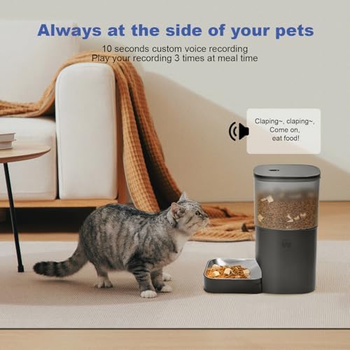 ANDOLL HOME Automatic Cat Feeder,4L Timed Cat＆Dog Dry Food Dispenser