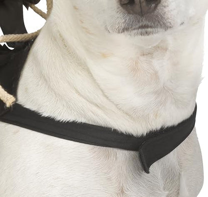 Fun World unisex Ghost Face Rider Pet Vest Costume - Image 3