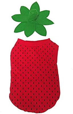 Midlee Strawberry Halloween Dog Costume (Large) - Image 2