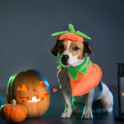 ADOGGYGO Halloween Pumpkin Dog Costume, Orange Dog Pumpkin Hat Cloak Set - Image 2