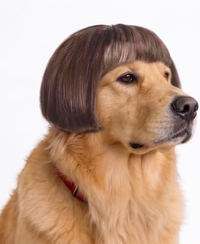 Dog Wigs for Large Dogs Wigs for Dog Wig Pet Costume Black Brown Straight - Image 2