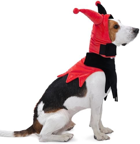 Lelepet Dog Halloween Costume with Hat & Cloak Funny Halloween Pet Outfit by LeLePet