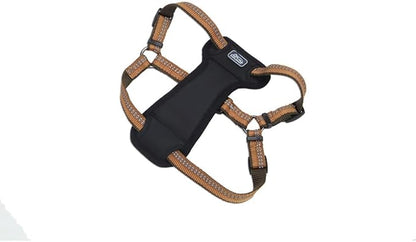Coastal Pet K9 Explorer Reflective Adjustable Padded Dog Harness - Plush Chest Pad for Comfort - No-Pull Dog Harness for Small and Large Dogs - Campfire Orange - 1" x 20"-30", Medium