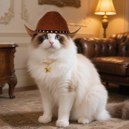choyaxo Pet Cowboy Costume Cosplay Cap Halloween Costumes for Dogs Cat Pet Party Decoration Mini Cowboy Hat (Brown, Large) - Image 5