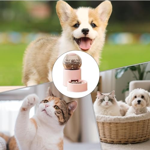 Automatic Cat Feeder Auto Dog Watering Dispenser