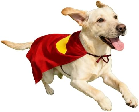Red Dog Hero Costume Cape for Halloween and Parties (Large) by Unknown