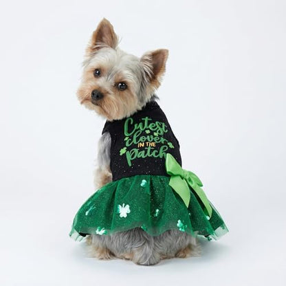 Fitwarm Cutest Clover in the Patch Dog Dress, St Patricks Day Dog Clothes for Small Dogs Girl, Funny Pet Cat Holiday Outfit, Black, Emerald Green, Small - Image 2