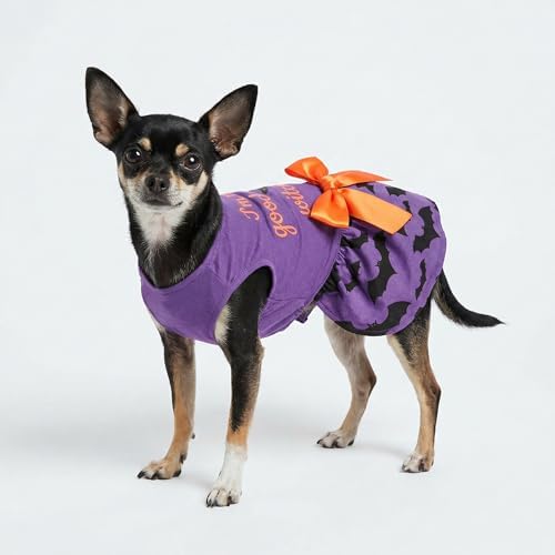 Fitwarm 100% Cotton I'm The Good Witch Halloween Dog Costume Puppy Dress Doggie Party One Piece with Bowknot Pumkin Bat Pet Vest Shirt Holiday Cat Outfits Purple Medium - Image 3