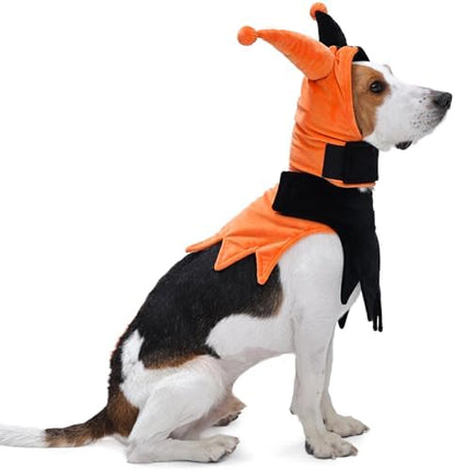 Lelepet Dog Halloween Costume with Hat & Cloak Funny Halloween Pet Outfit by LeLePet