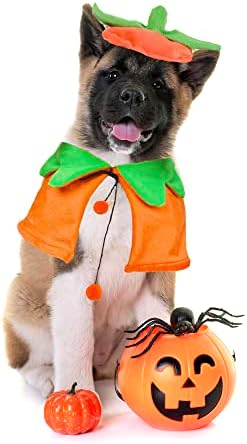 ADOGGYGO Halloween Pumpkin Dog Costume, Orange Dog Pumpkin Hat Cloak Set - Image 3