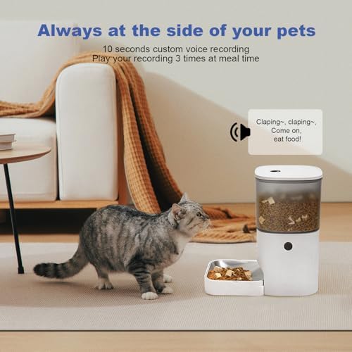 ANDOLL HOME Automatic Cat Feeder,4L Timed Cat＆Dog Dry Food Dispenser