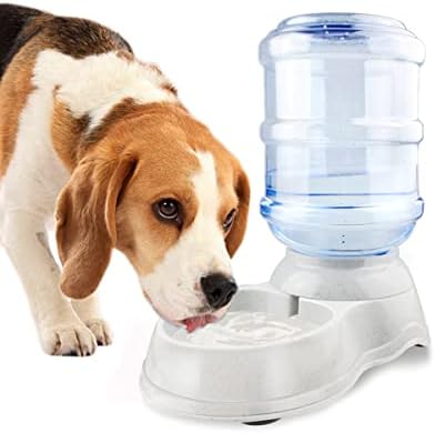 Pet Water Dispenser - Automatic Cat & Dog Water Bowl - 1 Gallon