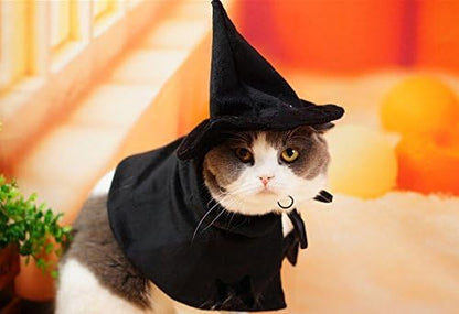Cute Hooded Cloak Witch/Wizard Halloween Holiday Costume for Small Dogs & Cat Kitten, Cat Halloween Costumes - Image 5