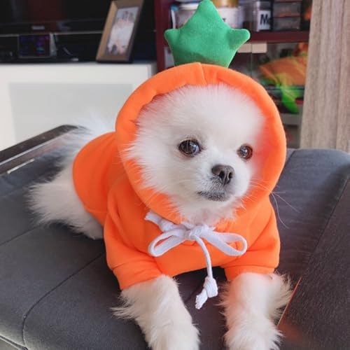 ANIAC Funny Pet Clothes for Small Dog Cat Carrot Dog Hoodies Warm Puppy Sweatshirt Coat with Fruit Hood Fall Cat Sweater Halloween Outfit Easter Dog Carrot Costume (Orange, X-Small) - Image 5