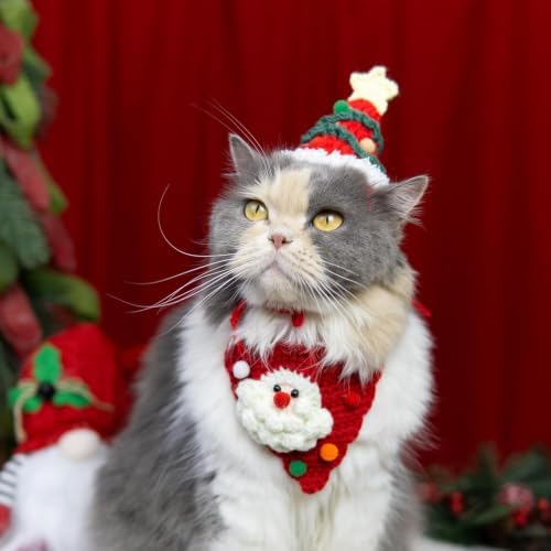Dog Christmas Costume,Handmade Dog Outfits, Christmas Tree Pet Hat & Cute Santa Cat Costume – Gifts for Cats and Small Sized Dogs, Party & Photos, Outgoing - Image 7