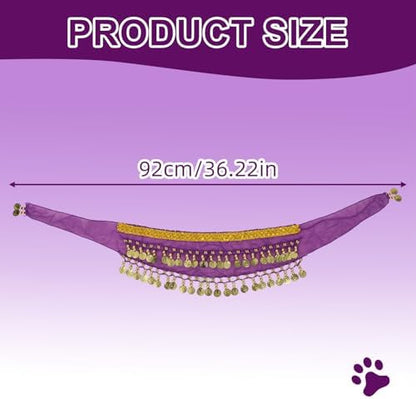Dog Belly Dance Skirt with Sequins, Bling Belly Dance Hip Scarf for Corgis - Image 2