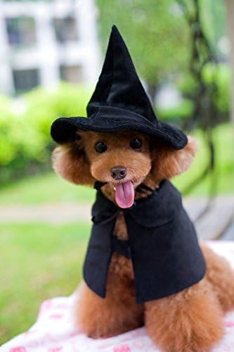Hooded Cloak Witch/Wizard Costume for Medium Pets, Dog Halloween Costume Hat Cape, Black Dog Witch Costumes by Lanyarco