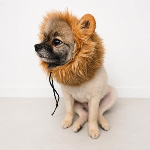 Halloween Lion Mane Pet Set, Hood and Tail - Small to Medium-Large Breed Funny Clothes Outfit Apparel (Small) - Image 3