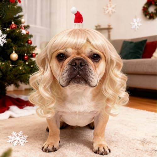 HOWWFALY Dog Costume Long Blonde CurlyWigs with Small Red Christmas Hat StylingCute Funny Pet Costumes AccessoriesDecoration for Halloween, Christmas, Parties - Image 5