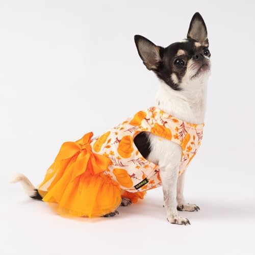 Fitwarm Pumpkin Flower Dog Dress, Thanksgiving Outfit for Small Dogs Girl, Fall Pet Outfit, Beige, Orange, Medium - Image 2