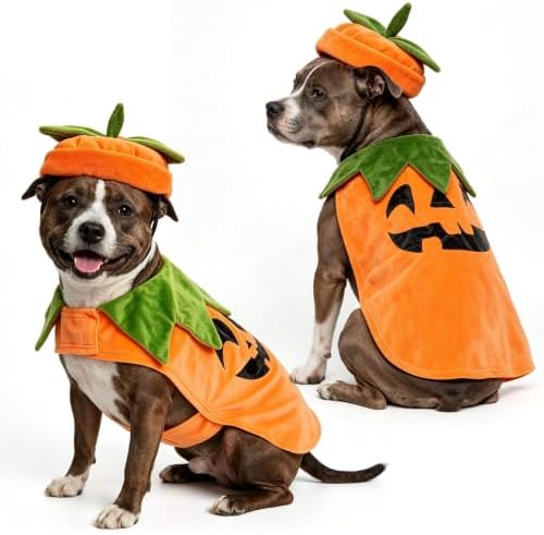 BEAUTYZOO Halloween Dog Pumpkin Costume, 2PCS Dog Halloween Costumes Cape,M by BEAUTYZOO